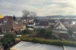 Wohnung mieten in Buchwaldstraße 41a, 15890 Eisenhüttenstadt, Wohnung in Eisenhüttenstadt OT Fürstenberg - mit Blick über die Oderwiesen