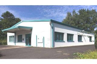 Gewerbeimmobilie kaufen in 66386 St. Ingbert, Produktionshalle mit Bürotrakt in St. Ingbert