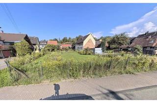 Grundstück zu kaufen in Hochwaldstraße 25, 79341 Kenzingen, Großes Grundstück in Nordweil