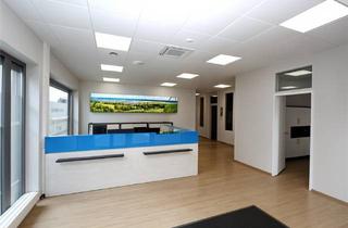 Büro zu mieten in Fischerei, 84130 Dingolfing, Exklusive Büro- oder Praxisfläche mit 14 Arbeitsplätzen im Zentrum von Dingolfing