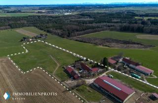Lager kaufen in 87752 Holzgünz, Premium Pferdehof im Voralpenland | Aktivstall, Reithalle & gesichertes Erweiterungspotenzial