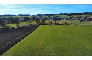 Gewerbeimmobilie kaufen in 89358 Kammeltal, Grünland / Wiesenflächen mit ca. 0,73 ha in Kammeltal / Ried b. Behlingen