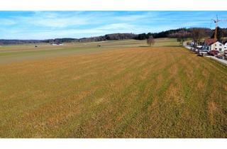 Gewerbeimmobilie kaufen in 89358 Kammeltal, Landwirtschaftsfläche mit ca. 2,11 ha in Kammeltal / Ried b. Behlingen