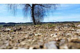 Gewerbeimmobilie kaufen in 89358 Kammeltal, Attraktive Landwirtschaftsflächen mit ca. 3,27 ha in Kammeltal / Ried b. Behlingen