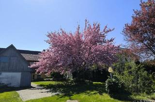 Haus kaufen in 72186 Empfingen, Zweifamilienhaus mit möglicher Gewerbeeinheit, Außengebäuden und traumhaft schönem Gartenpark
