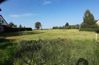 Immobilie kaufen in 02708 Ebersdorf, Ruhiges Grundstück in Randlage