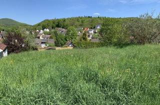 Immobilie kaufen in 63877 Sailauf, Ihr Traum beginnt hier: Bauplatz mit unverbaubarer Aussicht in Best-Lage!