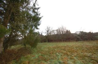 Immobilie kaufen in 69412 Eberbach, Schönes Hanggrundstück in Eberbach OT