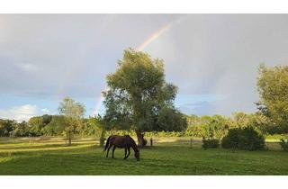 Immobilie kaufen in 16833 Fehrbellin, Pferdeparadies: 2 Wohnhäuser und viel Platz für 25 Pferde auf idyllischem Hof