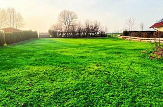 Garagen kaufen in Kreuzbühlstraße 24, 72469 Meßstetten, Baugrundstück: Raus aus der Hektik, rein ins Leben