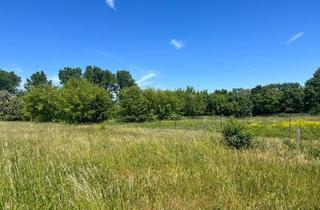 Lager kaufen in 04509 Hohenroda, Gewerblich nutzbares Grundstück für PV und Lagerhallen - teilbar