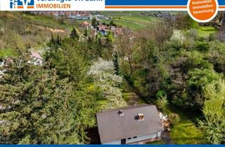 Haus kaufen in 67271 Neuleiningen, Traumhaftes, großes Grundstück unterhalb der Burg