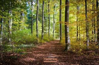 Lager kaufen in 99428 Weimar, Idyllisches Waldgrundstück mit praktischem Lagerschuppen - Natur pur