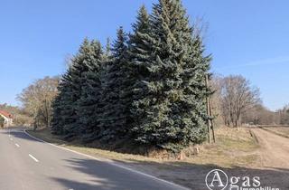 Immobilie kaufen in 06868 Stackelitz, Freifläche am Waldrand in Stackelitz