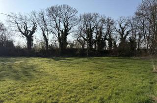 Immobilie kaufen in 56294 Münstermaifeld, Ihr Wohntraum beginnt hier – Zwei attraktive Baugrundstücke in Münstermaifeld