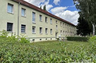 Wohnung mieten in Strasse Des Aufbaus 10, 06729 Elsteraue, Erstbezug nach Komplettsanierung! Bad mit Dusche!