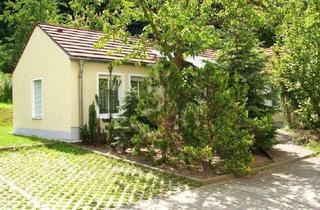 Wohnung mieten in 01445 Radebeul, Kleines 2-Zimmerapartment in ruhiger Lage von Radebeul-Lindenau