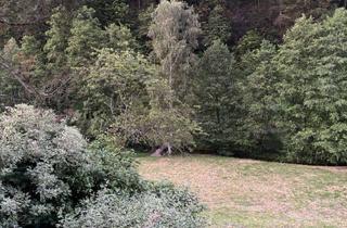 Wohnung mieten in 76332 Bad Herrenalb, Exklusive 2-Raum-Wohnung mit Balkon und EBK in Bad Herrenalb