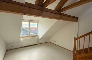 Wohnung mieten in Dahlenburger Landstraße 70, 21337 Lüneburg, - 4-Zimmerwohnung mit großer Dachterasse in Lüneburg zu vermieten -