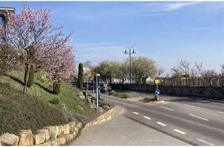 Haus kaufen in 67273 Herxheim am Berg, Zwei Häuser mit Weinbergsblick - sanierungsbed. Schmuckstück