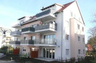 Wohnung mieten in Bielstraße 32, 08062 Zwickau, +++ Nachmieter gesucht +++ 2 Zimmer Wohnung mit Terrasse sowie Gartenabteil