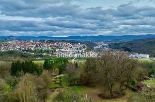 Gewerbeimmobilie kaufen in Baumsatzhalde 1, 72138 Kirchentellinsfurt, Sonniges Freizeitgrundstück im Schönbuch – 1.650 m² mit Aussicht