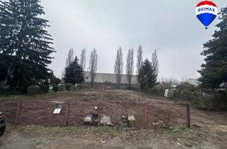 Grundstück zu kaufen in 12681 Berlin, Reserviert: Bebaubares Grundstück in Berlin Marzahn – perfekte Infrastruktur, starke Zukunftsperspek