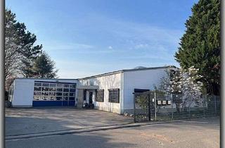 Büro zu mieten in 67547 Weinsheim, Nr. 1964 * Produktionshalle mit Büros und Sozialräumen in Worms-Weinsheim *