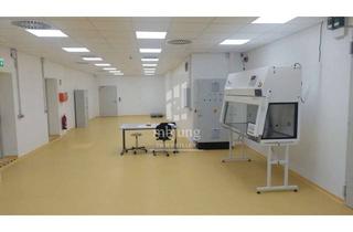 Gewerbeimmobilie mieten in 66424 Homburg, Moderne Produktions- und Gewerbefläche im Gewerbepark