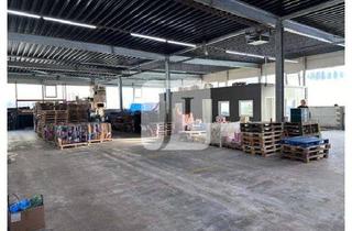 Gewerbeimmobilie mieten in 22869 Schenefeld, -IDEAL FÜR GROßHÄNDLER- ca. 965 m² renovierte ebenerdige Lagerfläche