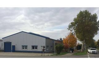 Gewerbeimmobilie mieten in Bahnhofstr., 79379 Müllheim, Halle mit 450 m² im Gewerbegebiet Müllheim