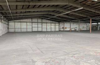 Gewerbeimmobilie mieten in 21423 Winsen, Ebenerdige Lagerflächen in Winsen