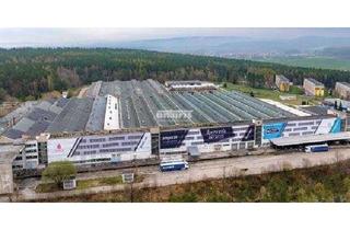 Gewerbeimmobilie mieten in 98693 Ilmenau, antaris Immobilien GmbH ** Ihr neues Lager in Ilmenau **