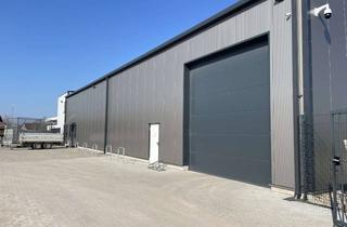 Büro zu mieten in 76863 Herxheim, Neuwertige Gewerbehalle mit Büro