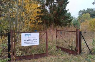 Grundstück zu kaufen in Blumenstraße 32, 15711 Königs Wusterhausen, Zeesen - großes Baugrundstück, ruhige Lage