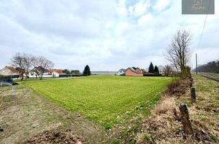 Grundstück zu kaufen in 14913 Niedergörsdorf, Ihr Baugrundstück im Brandenburger Süden - provisions- und bauträgerfrei!