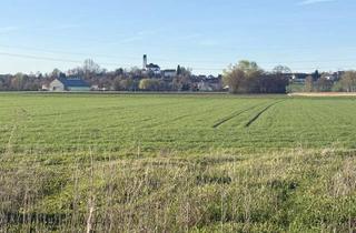 Grundstück zu kaufen in 85232 Bergkirchen, RANDGRUNDSTÜCK FÜR EIN EINFAMILIENHAUS MIT FREIEM BLICK NACH FELDGEDING/ BERGKIRCHEN