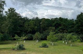 Grundstück zu kaufen in 15838 Am Mellensee, Traumhaftes Baugrundstück in Rehagen - Am Mellensee