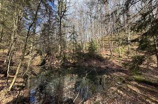 Grundstück zu kaufen in 53902 Bad Münstereifel, Einzigartiges eingezäuntes Waldgrundstück mit 6 Seen und sanierungsbedürftiger Hütte