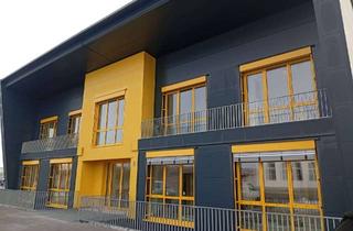 Büro zu mieten in Otto-Brenner-Str., 89407 Dillingen, Büro, Praxis, Einzelhandelsfläche