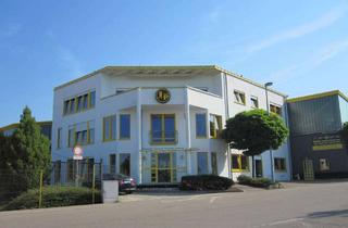 Büro zu mieten in Robert Bosch Straße, 74547 Untermünkheim, Büro zu vermieten 1 Büro mit 50m² und 1 Büro mit 80m²