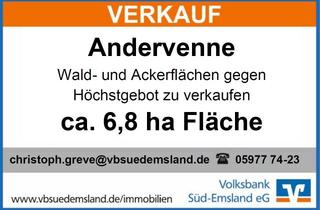 Immobilie kaufen in 49832 Andervenne, Wald- und Ackerfläche gegen Höchstgebot