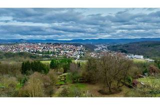 Immobilie kaufen in Baumsatzhalde, 72138 Kirchentellinsfurt, Sonniges Freizeitgrundstück im Schönbuch - 1.650 m² mit Aussicht