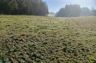 Gewerbeimmobilie kaufen in 84076 Pfeffenhausen, 1,38 ha Acker- und Waldfläche (Landwirtschaftsfläche und Forstwirtschaftsfläche) in Pfeffenhausen