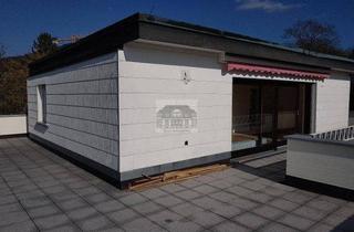 Penthouse mieten in 76530 Baden-Baden, Besonderes Penthouse am Annaberg - Bitte Text lesen !!