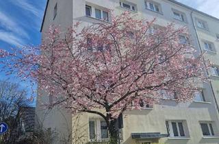 Wohnung mieten in A.-Schweitzer-Siedlung 26, 08371 Glauchau, Balkonanbau: Ihre neue 2-Raum-Wohnung in der A.-Schweitzer-Siedlung 26 wartet ab 10/26 auf Sie!