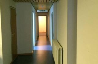 Wohnung mieten in 76316 Malsch, Ansprechende 6-Zimmer-EG-Wohnung zur Miete in Malsch