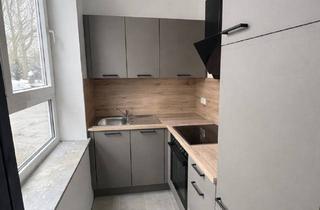 Wohnung mieten in Lindenallee, 29227 Celle, Frisch sanierte 1-Zimmer-Wohnung mit eigenem Eingang, neuer Einbauküche und modernem Bad in Celle