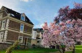 Wohnung mieten in Sponheimer Straße 17, 56841 Traben-Trarbach, Helle 2-Zimmer Altbauwohnung in Traben-Trarbach