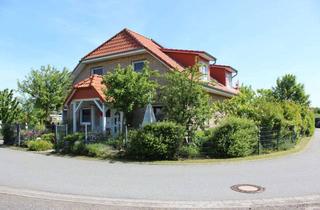 Einfamilienhaus kaufen in 25761 Hedwigenkoog, Wunderschönes Einfamilienhaus im Nationalpark UNESCO Weltnaturerbe direkt an der Nordsee